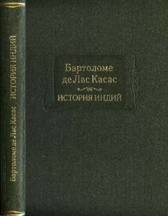 Бартоломе Лас Касас - История Индий