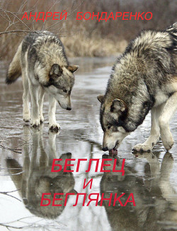Беглец и Беглянка (СИ) - Бондаренко Андрей Евгеньевич