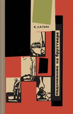 Константин Лапин - Подснежник на бруствере